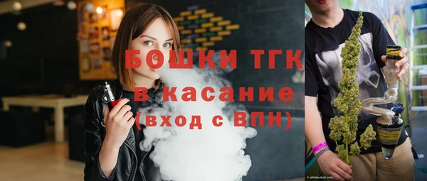 ешки Алексин