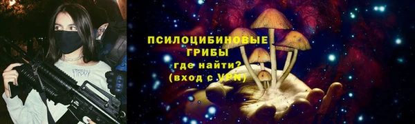 ешки Алексин