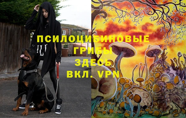 спиды Алексеевка