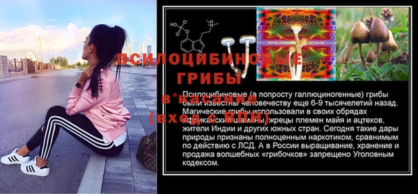 ешки Алексин