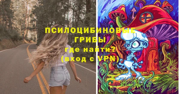 ешки Алексин