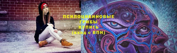 винт Алзамай