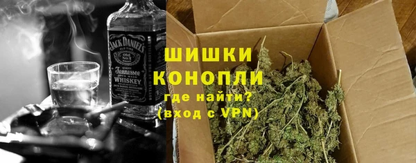 винт Алзамай